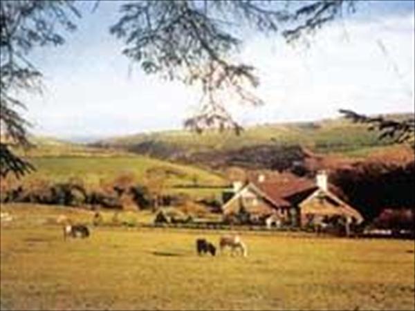 Coombe Farm Guest House,  Looe