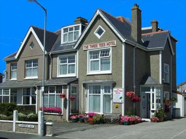 The Three Tees Guest House,  Newquay