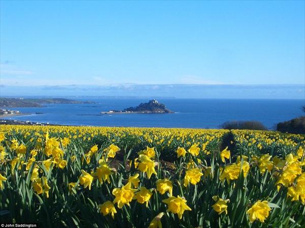 Shoreline Guest House,  Penzance